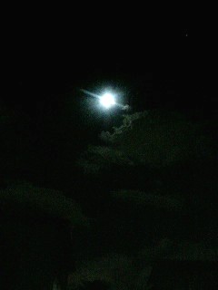 Fullmoon is on the sky